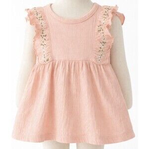 Little Lass Baby Pink Embroidered Ruffle Dress | Girls 6–9 Months | Soft Cotton